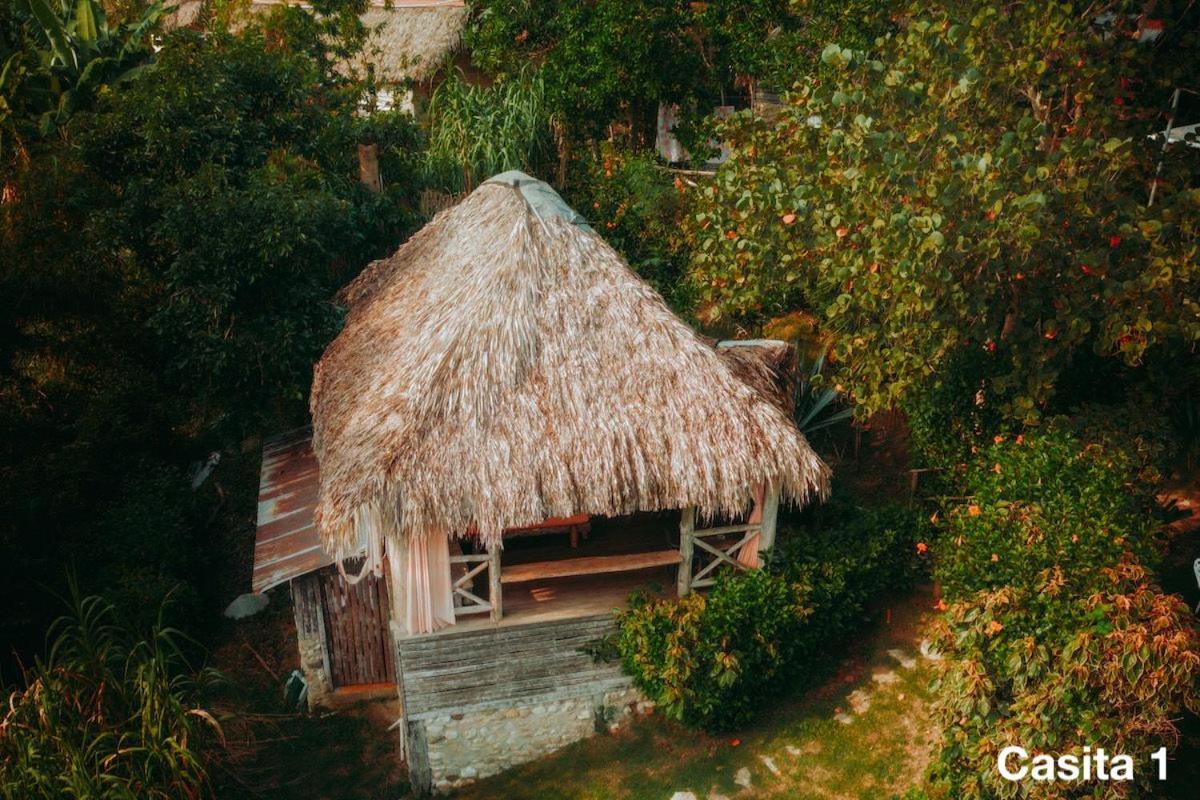 Ecolodge Tubagua Puerto Plata Eksteriør billede