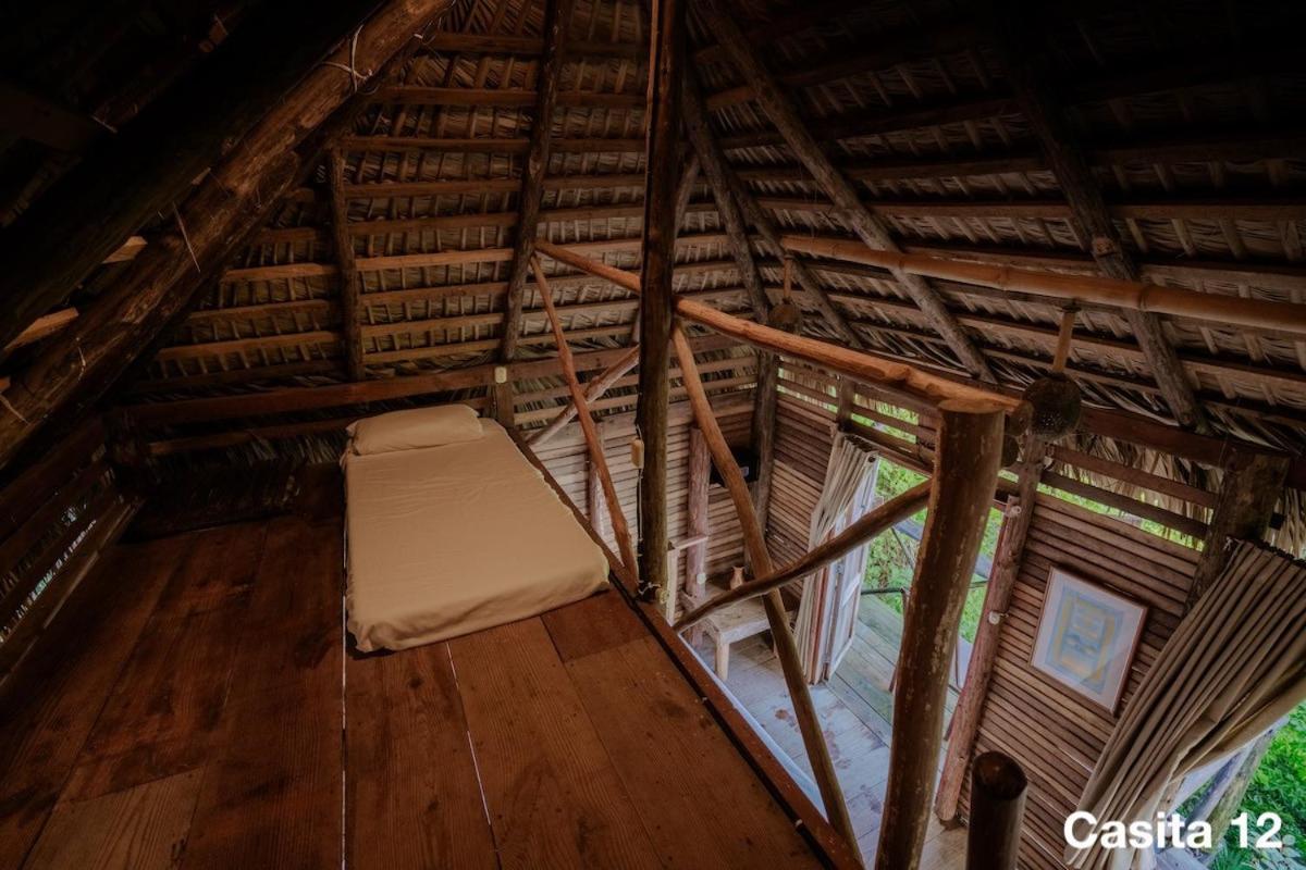 Ecolodge Tubagua Puerto Plata Eksteriør billede